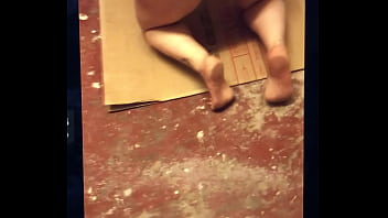 Chienne à faire tourner