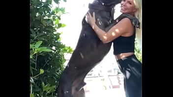 My dog is bigger than your dog show me yours