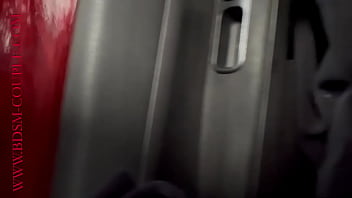 Carwash petting a stroll down memory lane enjoy