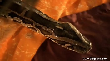 Beautiful and sensual indian sweetie