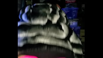 Bouncer 559 Bouncer 559