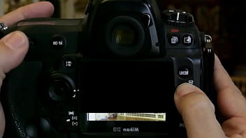 Vanessa fait un stage dans un muséum