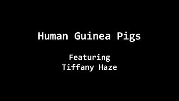 Human guinea pigs tiffany haze