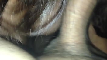 Sucking my dick Sucking my dick