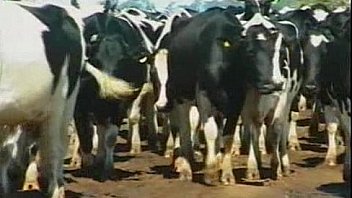 Haciendo dedo con luciano roggio