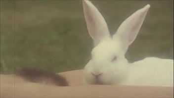 'beauty & the beast' my secret life