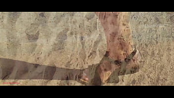 Running love – a visual story of obsession escape and love official release 2025 full video