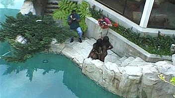 Metro nasty video magazine 03 scene 4