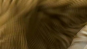 Diversões na fazenda 2025