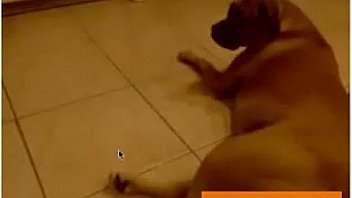 Free webcam chat webcam masturbation free amateur porn video dc Free webcam chat webcam masturbation free amateur porn video dc
