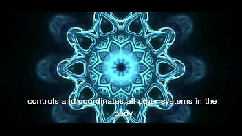 Short interesting video about our bodies