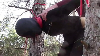 Preview half an hour compilation of a milf fucked doggy style with repeated orgasms