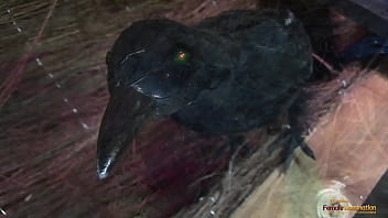 Witches use their hands and mouths to pleasure a hard cock before getting penetrated