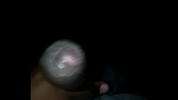 Stiff Yardy Cocky thumbnail