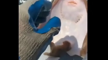 A raia mais feliz do mundo