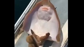 A raia mais feliz do mundo