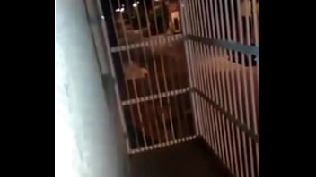 Realizamos um desejo que mudou nossa relação trazer um amigo e transar na varanda