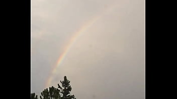 Rainbows ️️️