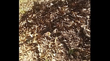 Detailed fantasy description