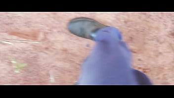 Follow my steps boots fetish fetish botas jun 10 2025