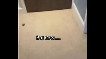 What should i make p1nkplastic do tomorrow