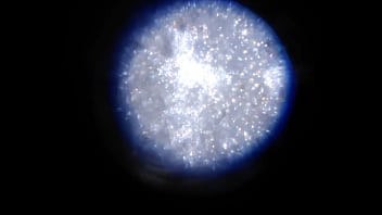 Examen de mis nadadores semen