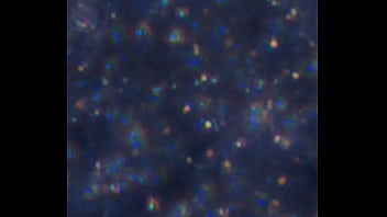 Examen de mis nadadores semen