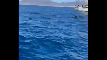 Had such a chilled time in the canaries now it's time to head home