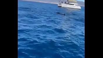 Had such a chilled time in the canaries now it's time to head home