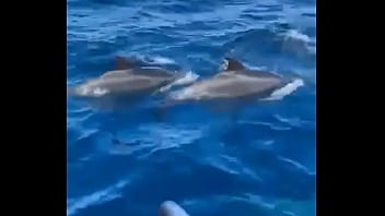 Had Such A Chilled Time In The Canaries Now It's Time To Head Home thumbnail