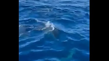 Had such a chilled time in the canaries now it's time to head home