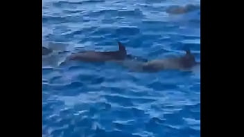 Had such a chilled time in the canaries now it's time to head home