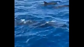 Had such a chilled time in the canaries now it's time to head home