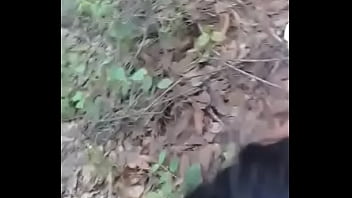 Vid 20171014 Wa0104 thumbnail