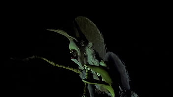 Filme completo dublado