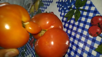 Dois tomates transando e gozando