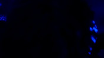 Trim 20121231 174956