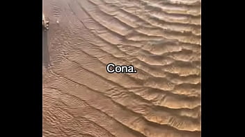 Vídeo de verificação