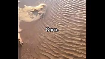 Vídeo de verificação