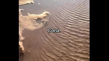 Vídeo de verificação