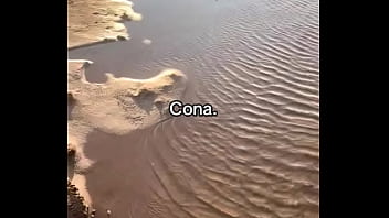 Vídeo de verificação