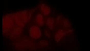 Me la traje de un puti club