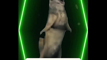 She turned like she knew like she felt it and suddenly… you weren’t sure who was out of place anymore