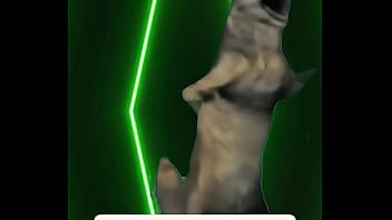 She turned like she knew like she felt it and suddenly… you weren’t sure who was out of place anymore