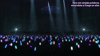 Episode of roselia ii