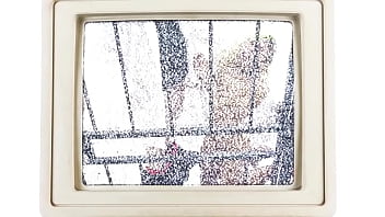 Ditria rose sucks dick and eats pussy pov version