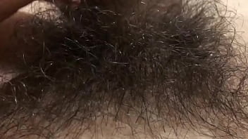 Pau Jovem Peludo Querendo Um Boquete Bem Gostoso Vamo Vamo Quero Aquela Chupada Gostosa thumbnail