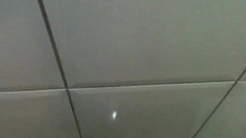 Video bokep part 10056926