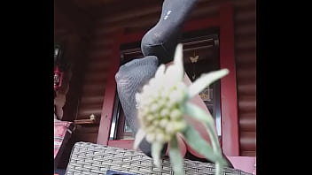 Schwarze socken auf der veranda