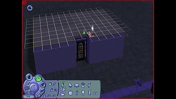 Sexo com mais de um sims